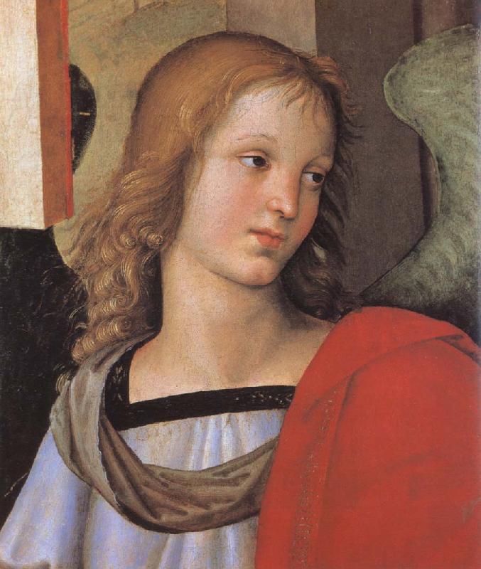 RAFFAELLO Sanzio Angel oil painting image
